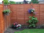 garden (6) * 2032 x 1524 * (988KB)